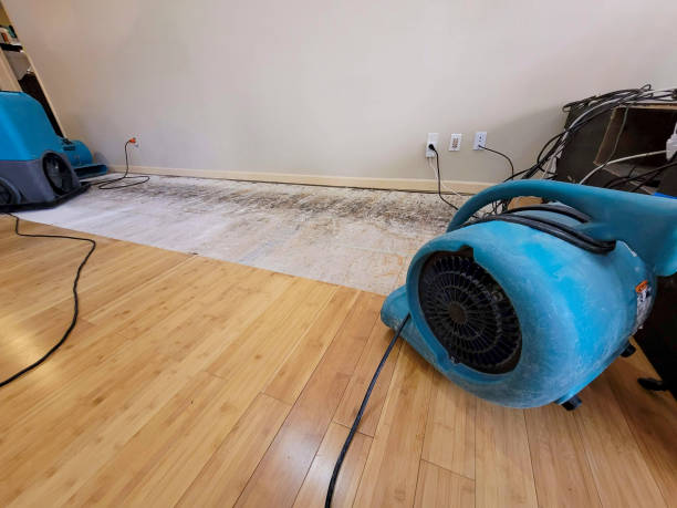 Professional Basement Flood Cleanup technician working in Ray, MI